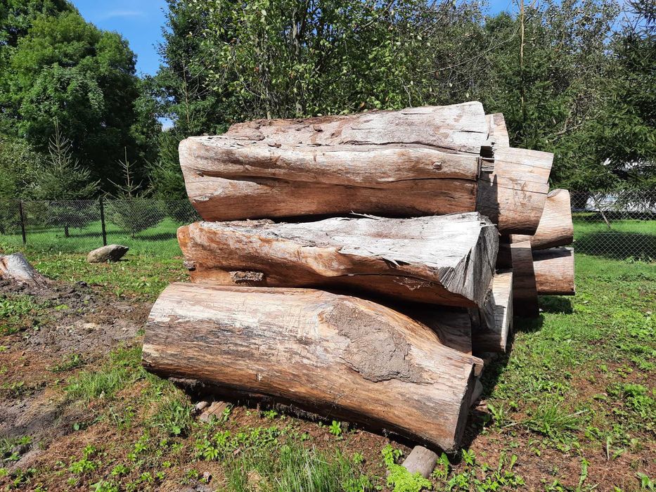 Drzewo Jesion kłody