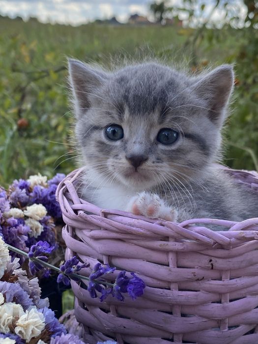 Символічний комочок щастя, 24 серпня
