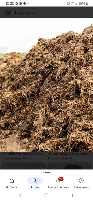 Obornik bydlęcy mokry