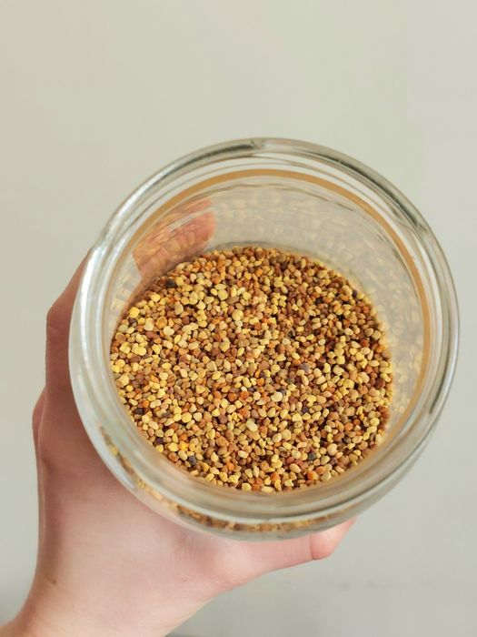 Pierzga pszczela z pasieki pyłek pszczeli mały słoik