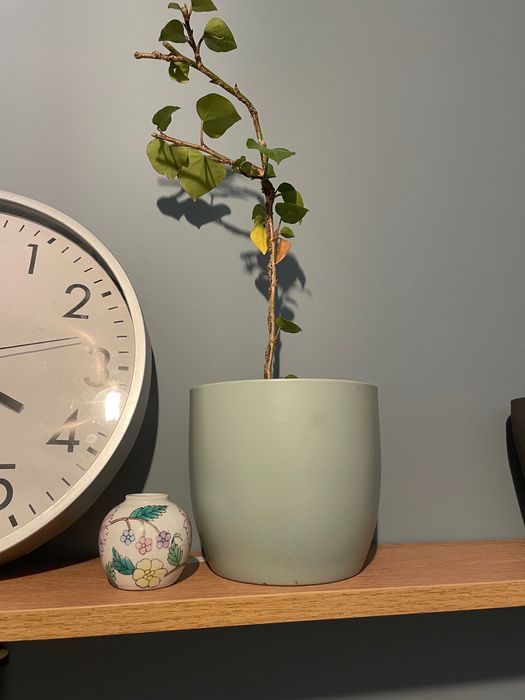 Cesto de lixo+2 vasos plantas