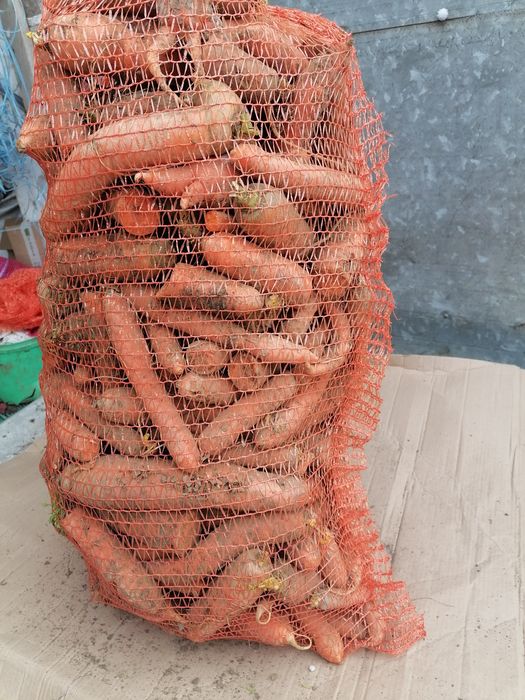 Marchew paszowa 25 kilo
