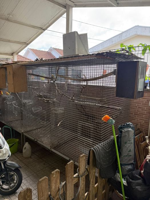 Gaiolas dupla para aves