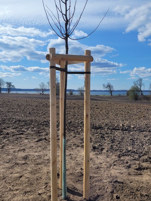Paliki do drzewek  słupki wysyłka