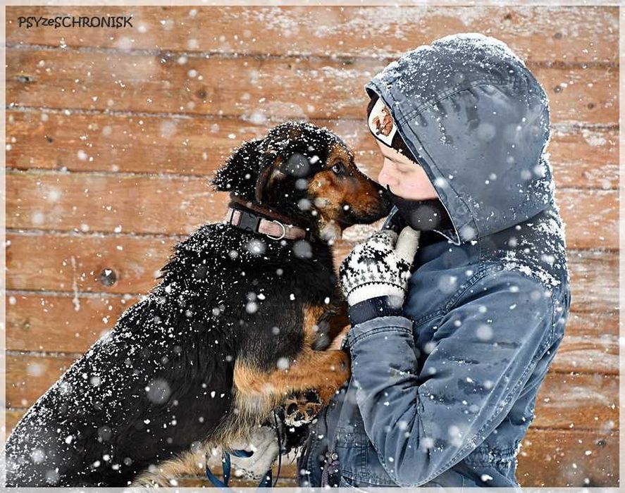 Zefir - odbił się od psiego dna