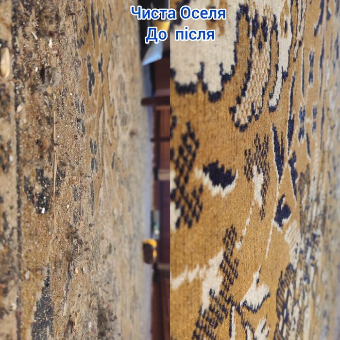 Прибирання квартир, будинків,виїздна хімчистка.