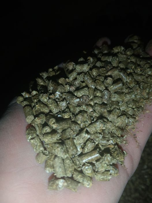 Сіно в  гранулах