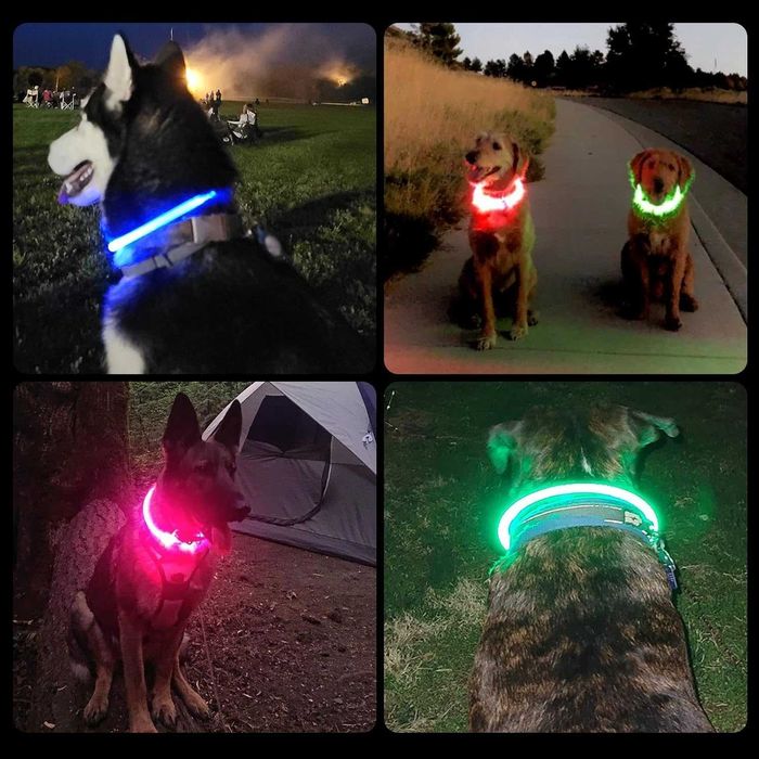 Świecąca obroża LED dla psa USB regulowana wodoodporna czerwona