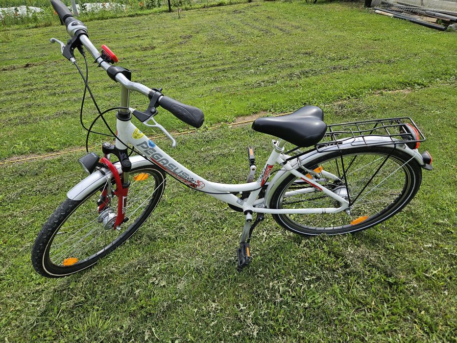 Rower Pegasus 26"