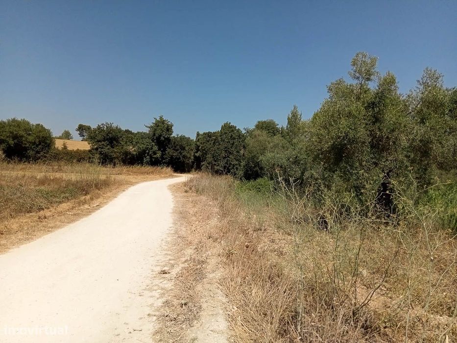 Terreno Rústico com 10.740m2 — Achete, Azoia De Baixo E Póvoa De Santarém, Santarém
