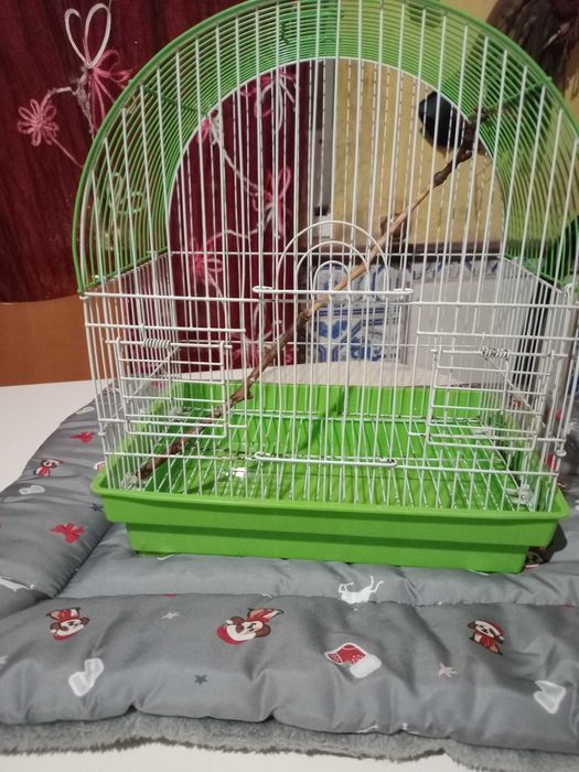 Gaiola para pássaros pequenos