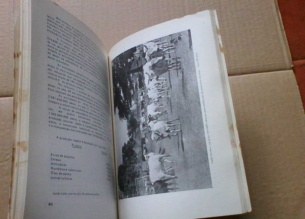 Introdução à geografia económica da Guiné-Bissau