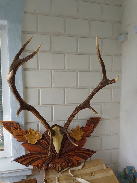 Роги оленя декоративні