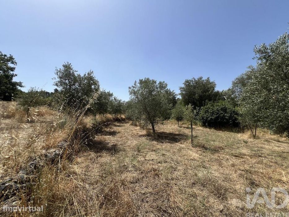 Terreno em Sernancelhe e Sarzeda de 44527,00 m2