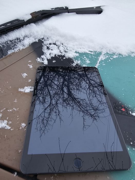 Apple iPad Mini 5 2019 (64GB)