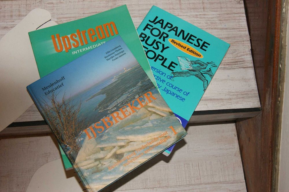 Livros de aprendizagem, Inglês, Francês, Alemão e Italiano