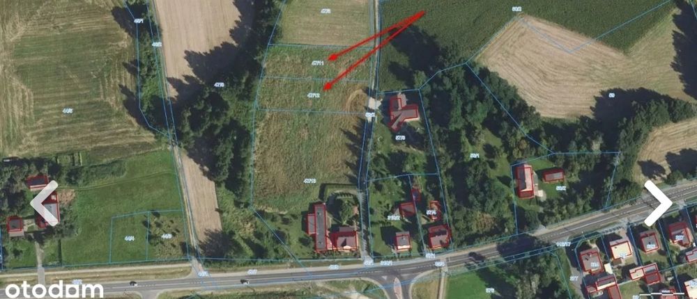 Działka budowlana Palaty - Grabów nad Prosną - Widok 2