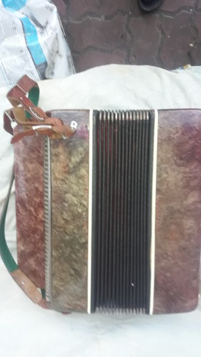 Музичний інструмент баян