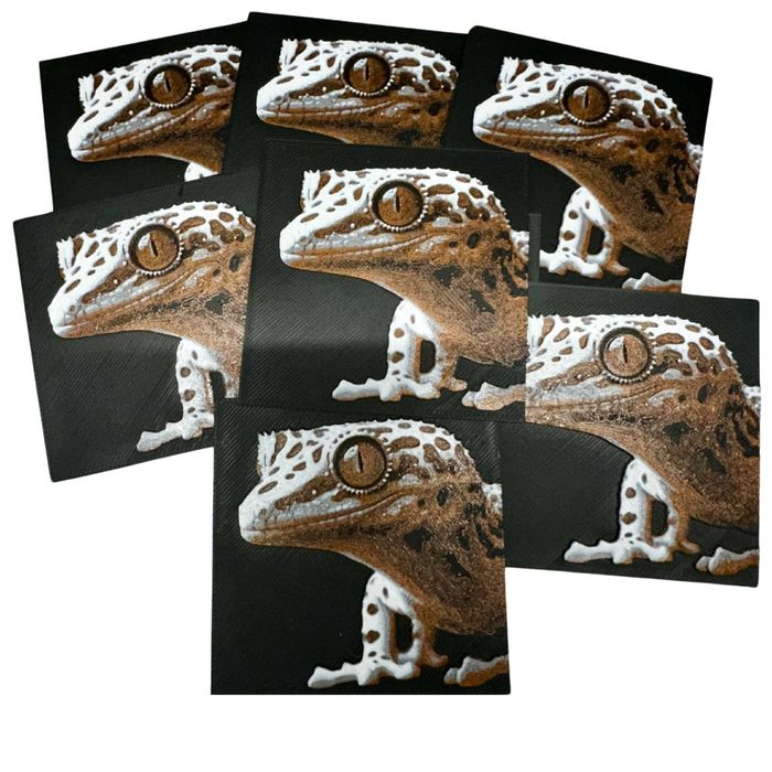 Magnes terrarystyczny 7x7 cm. Eublefar lamparci