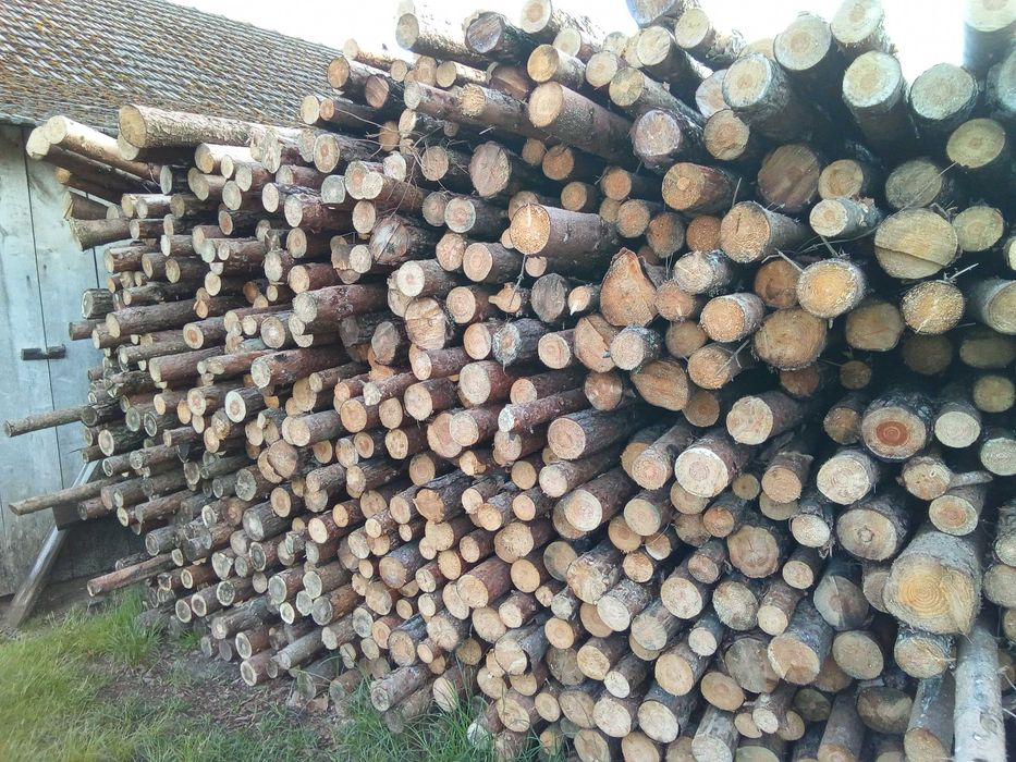 Stemple budowlane 3m