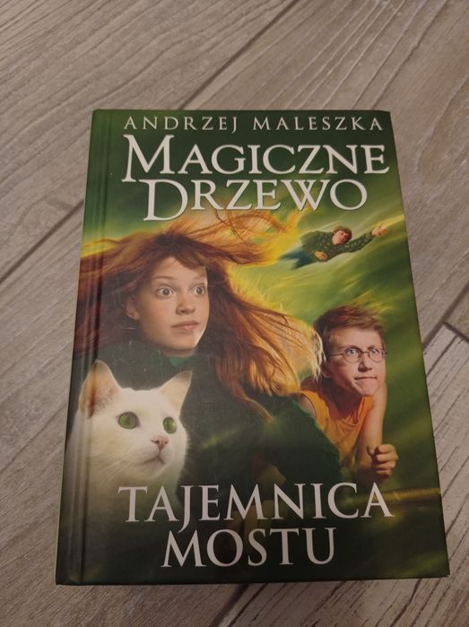 Tajemnica Mostu z serii Magiczne Drzewo