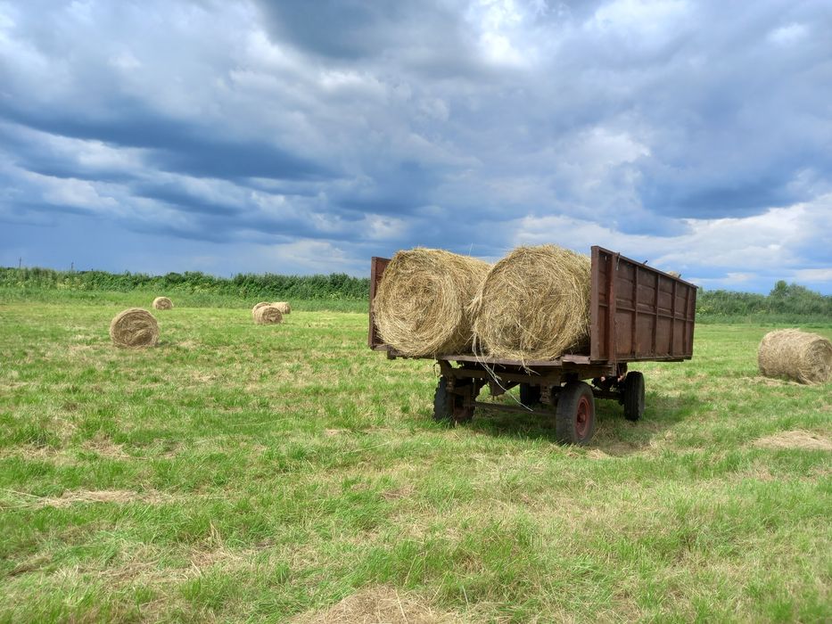 Продам сіно свіже в круглих тюках 2026г