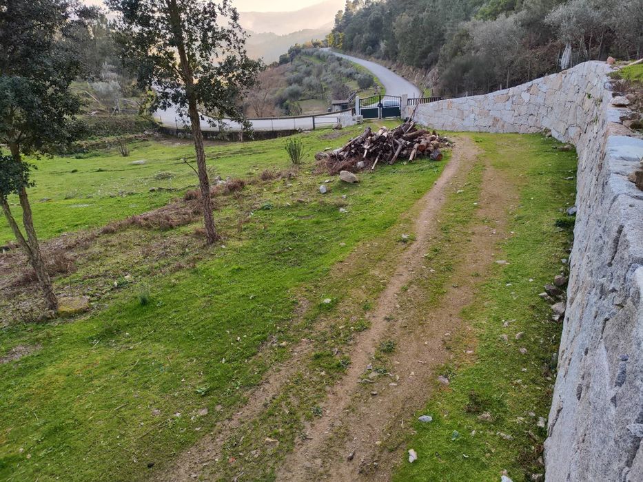 Quinta 3 Hectares Murganheira ( Tarouca )