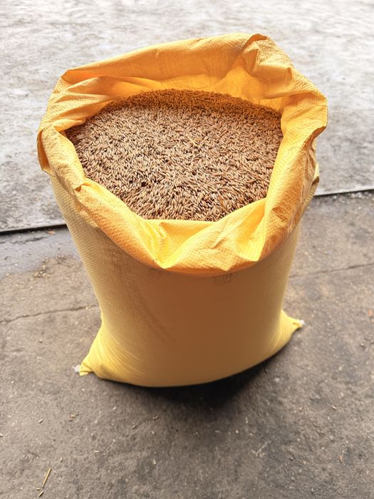 500 kg-Owies  – szybki odbiór bigbag