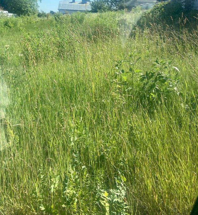 ПРОДАЖ ЗЕМЕЛЬНОЇ ДІЛЯНКИ с.Біла 12 сотих Тернопільський район