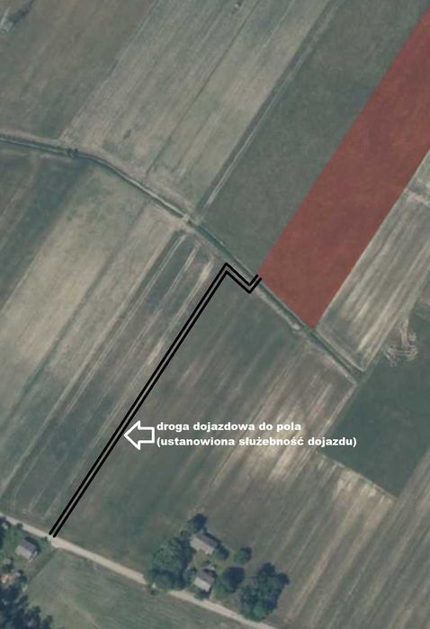 Pole orne 1,63ha - Sieczków gm. Tuczępy - Widok 2