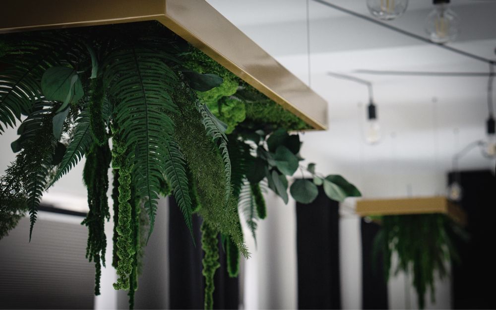 Panel z mchu zielone ściany mech chrobotek panele z mchu żywy mech