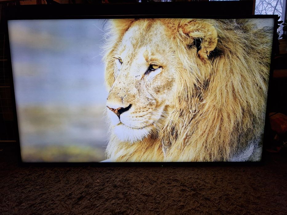 Tv Panasonic 55" 4K SMART WiFi DVBT-2 Hevc UHD HDR telewizor LED