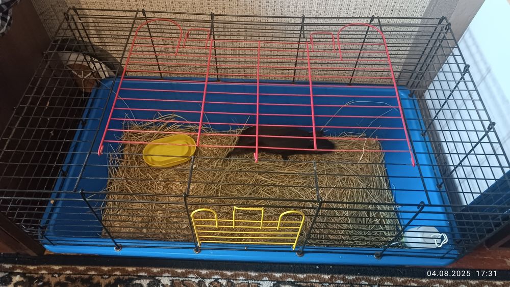 Клетка для кроликов ( грызунов)