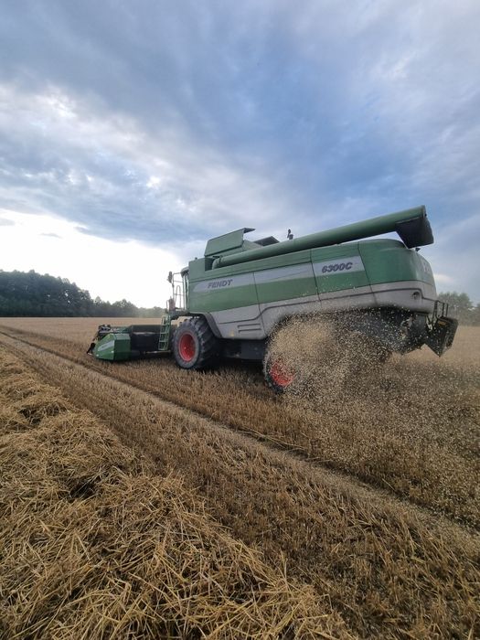 Koszenie/zbiór kukurydzy zbóż rzepaku usługi rolnicze