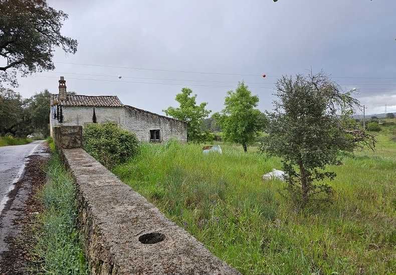 Quinta a 2Kms da cidade Castelo Branco 12,69 Hectares