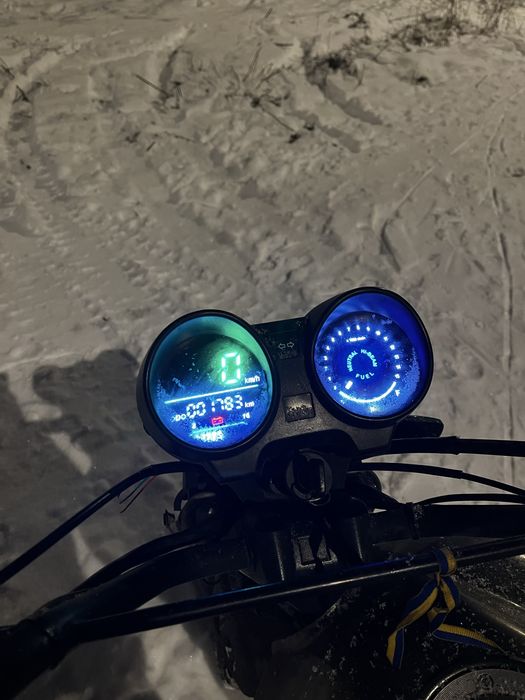 продам мустанг динго