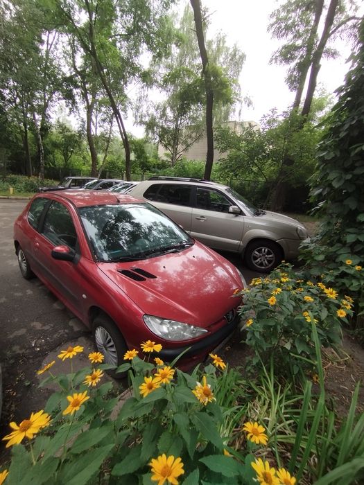 Peugeot 206 2003р.
