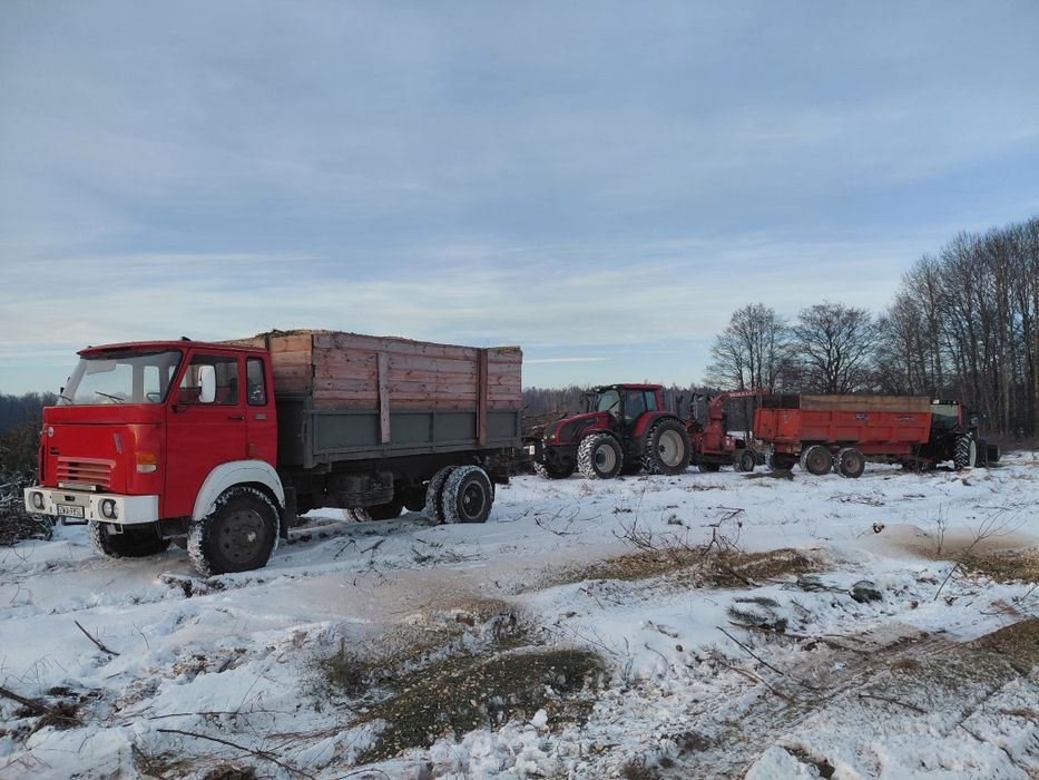 Usługa mulczerem wgłębnym, harwesterem forwarderem las samosiejki
