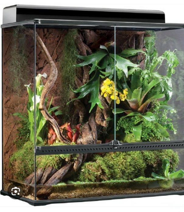 Terrarios p/ Repteis