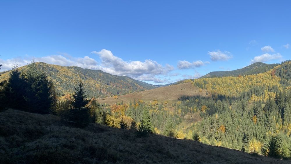 Земля під будову, межує з лісом, гарний доїзд