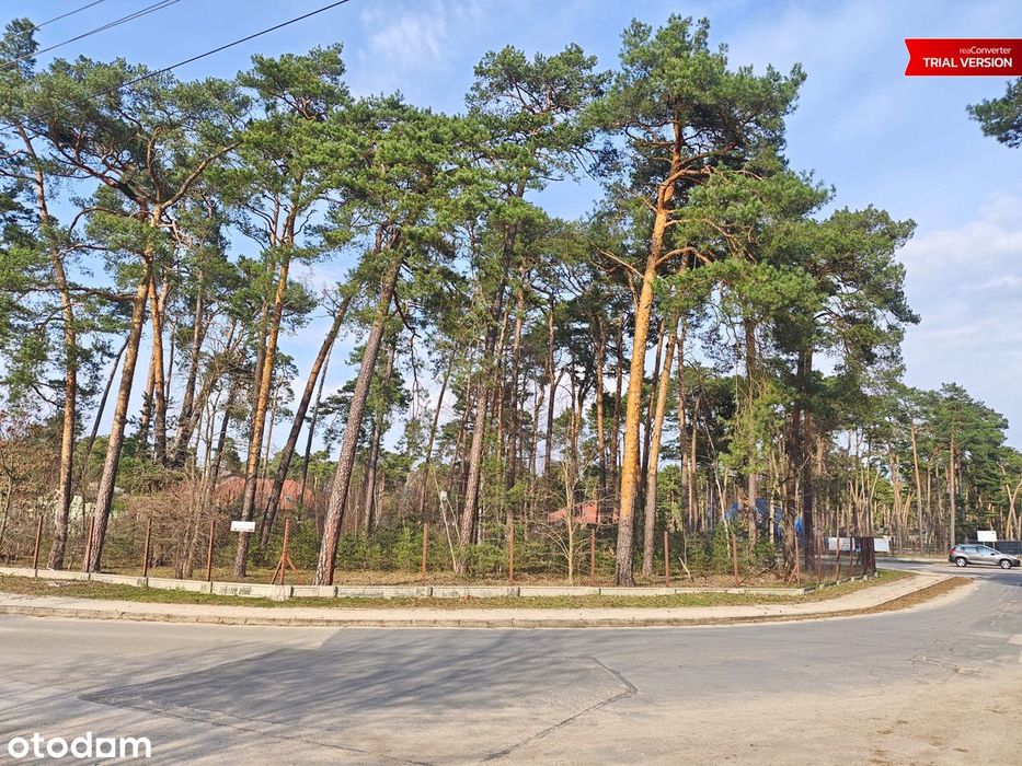 Piękna leśna działka budowlana w Kolumnie w świetnej lokalizacji