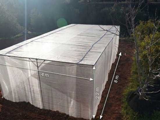 Estufa 4 x 6 m, 24 m², rede anti-trips 20x20