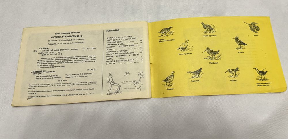 Английский кокер-спаниель Пасик 1992