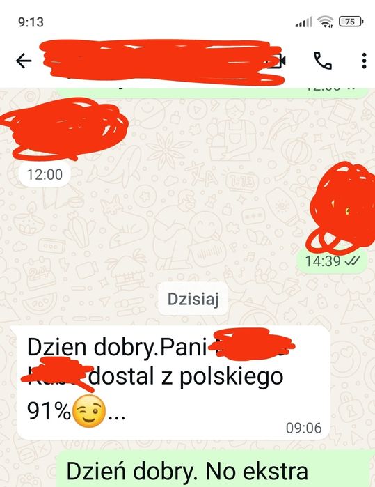 Korepetycje język polski, WOS