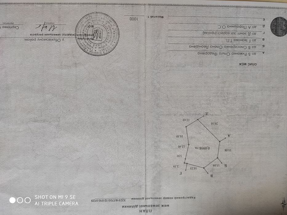Земельна ділянка
