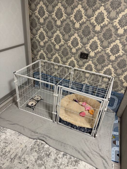 Вольєр металевий для домашніх тварин Springos 120 x 60 x 60 см Білий