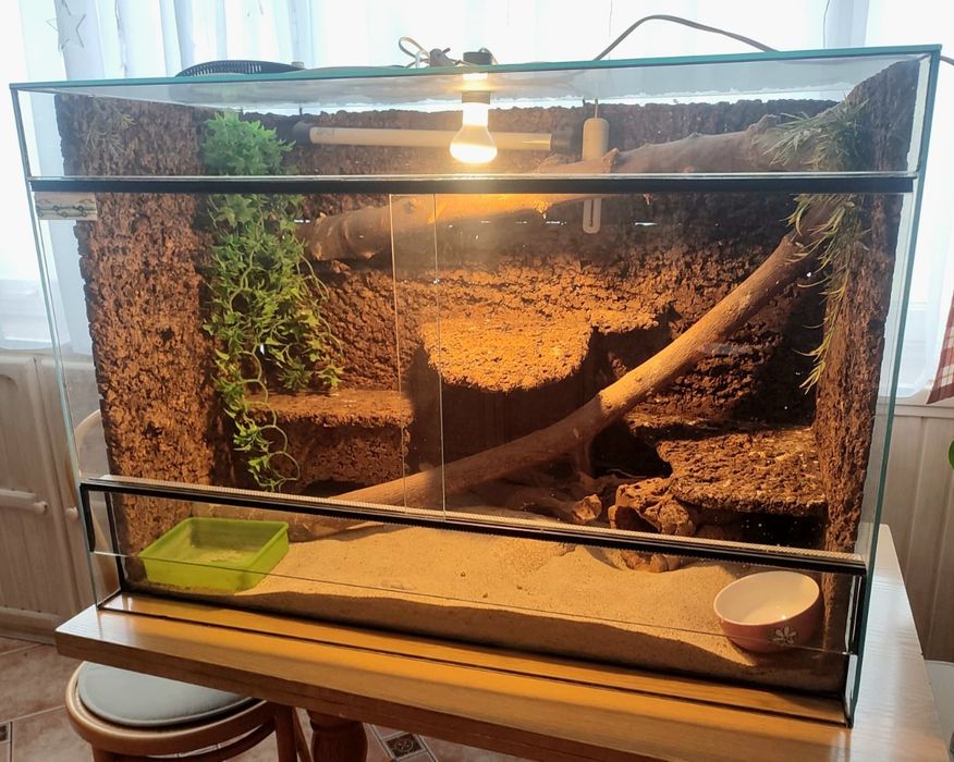 Terrarium szklane 100×70×50 cm – wentylowane, ręcznie robione tło