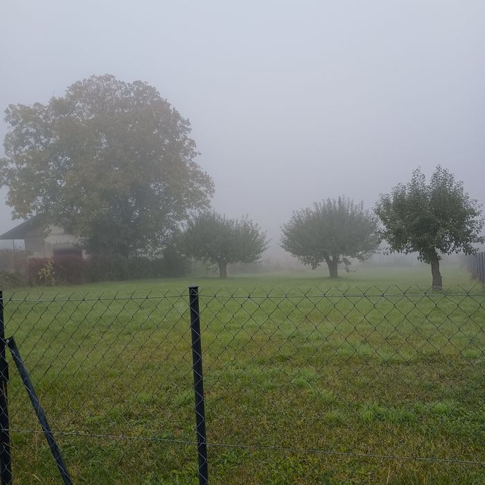 Ogrodzona działka 16 arów koło Chełma