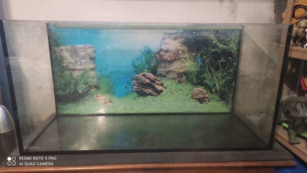 Akwarium 200l...