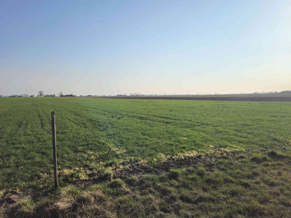 Sprzedam działkę 1500m² REZERWACJA DO 8 LIPCA - Widok 2